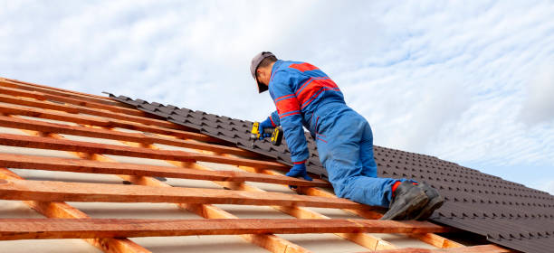 Best Roof Insulation Installation  in Portola, CA