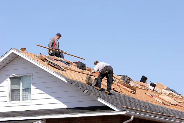 Best Steel Roofing  in Portola, CA